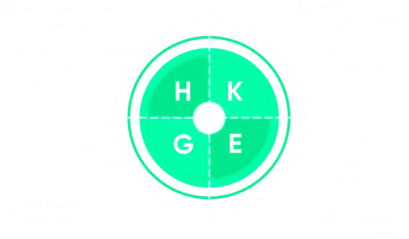 Método Hokage Diagram